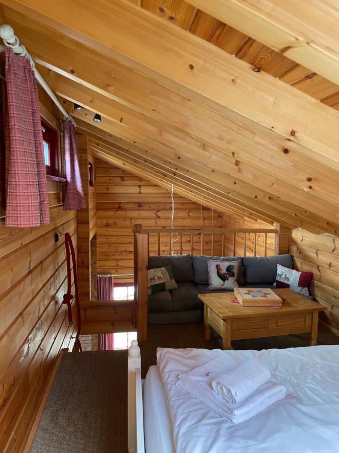 Blockhaus An Der Skiwiese Braunlage Zewnętrze zdjęcie
