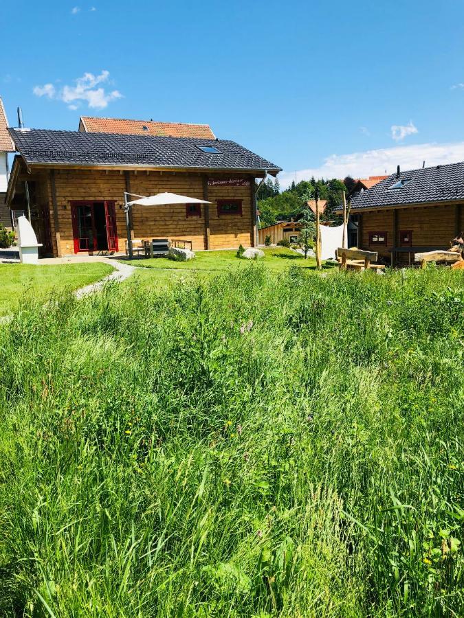Blockhaus An Der Skiwiese Braunlage Zewnętrze zdjęcie